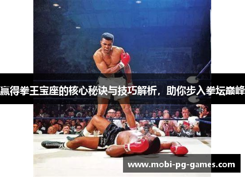 赢得拳王宝座的核心秘诀与技巧解析，助你步入拳坛巅峰